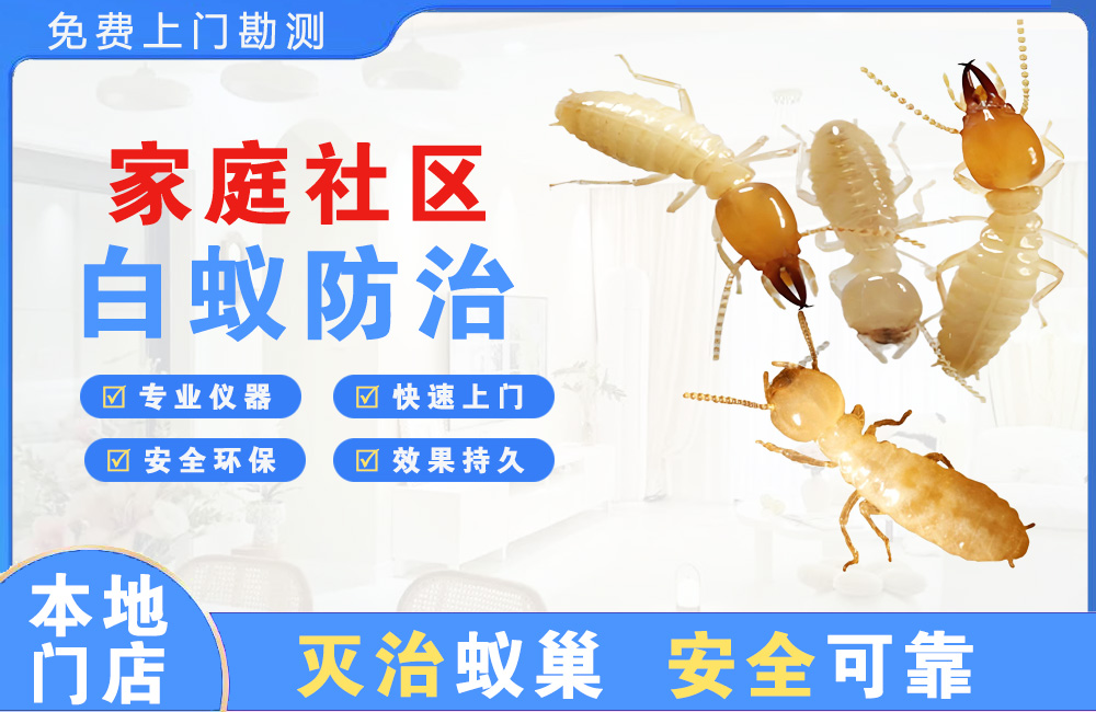 襄阳家庭社区白蚁防治