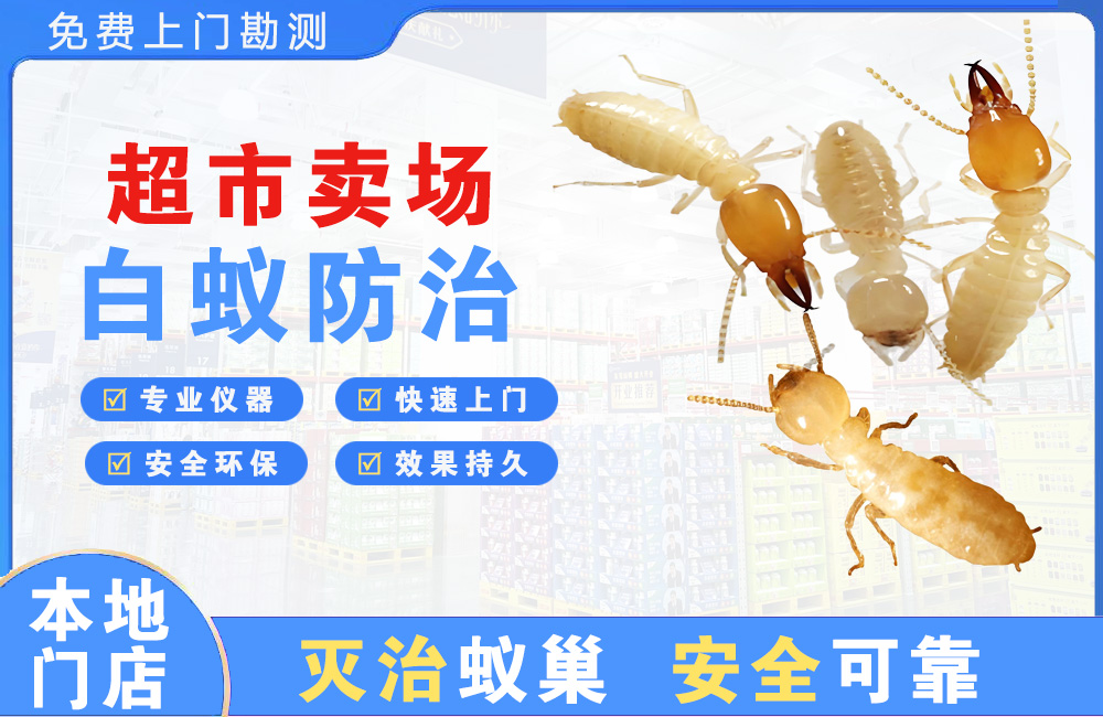 襄阳超市卖场白蚁防治