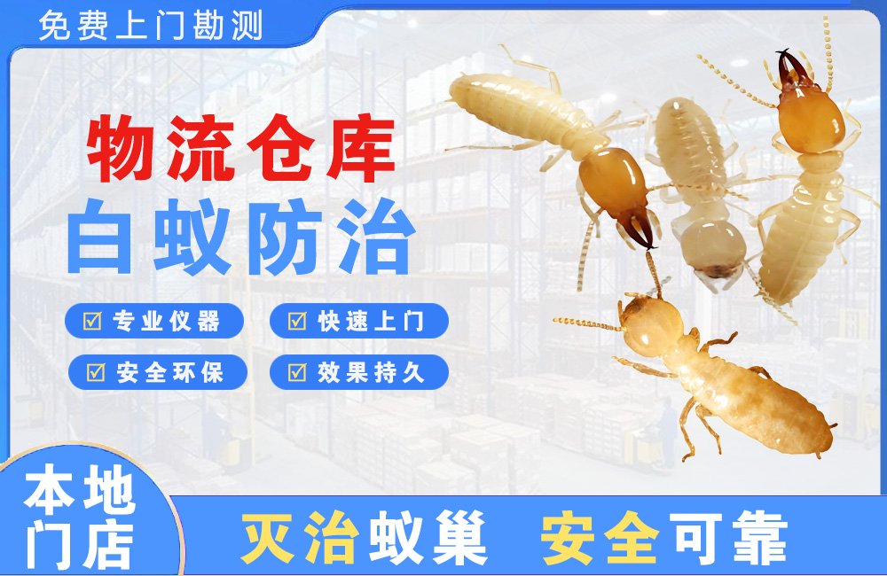 襄阳物流仓库白蚁防治