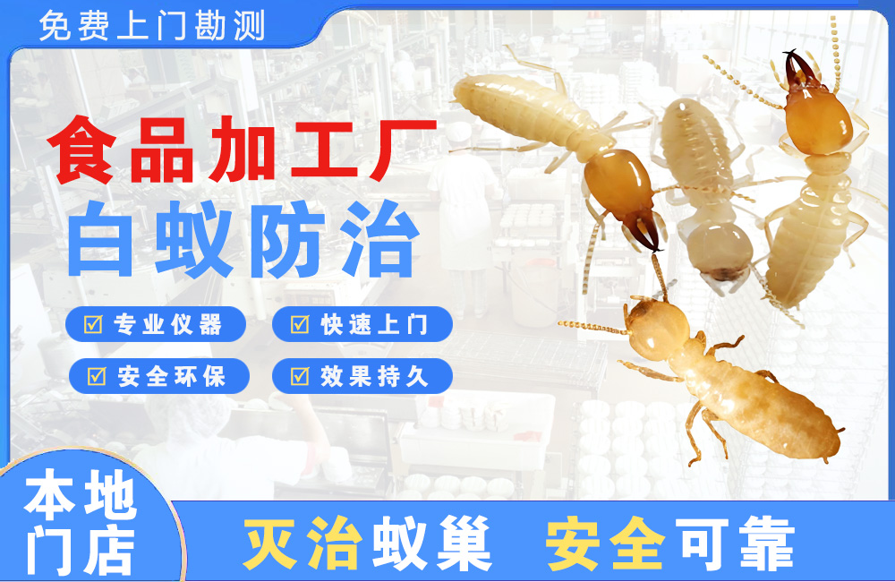 襄阳食品加工厂白蚁防治