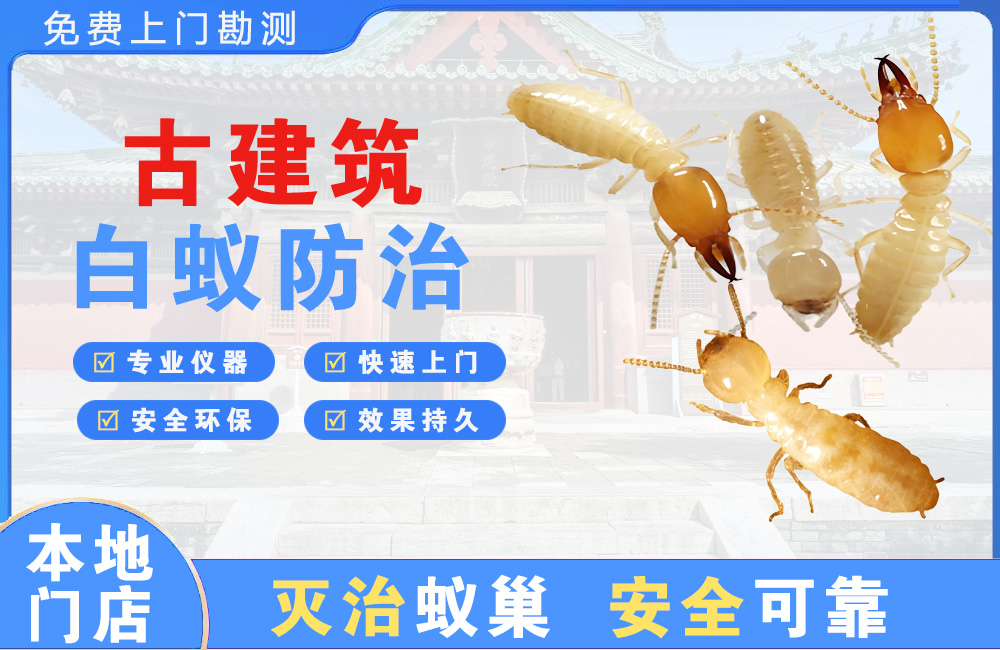 襄阳古建筑白蚁防治