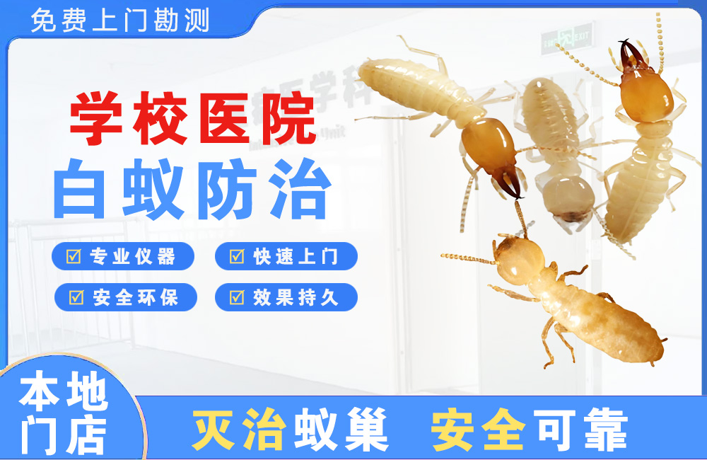 襄阳学校医院白蚁防治