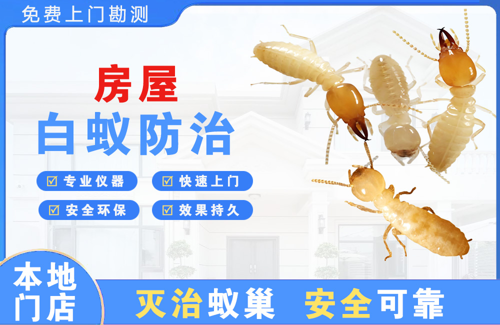 襄阳房屋白蚁防治