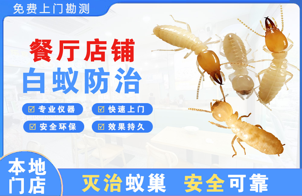 襄阳餐厅店铺白蚁防治